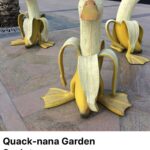 Anna Cain Bianco Instagram – Duck duck silly goose Manhattan, New York