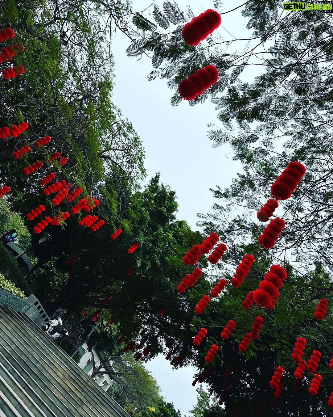 Anna Kay Instagram - I just forget my ig password and ig phone number π
#η―ε€ͺζ² Tiger year is finally coming to the endππ»ππ»ππ»