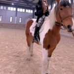 Anna Kay Instagram - The girl horse & a girl.
