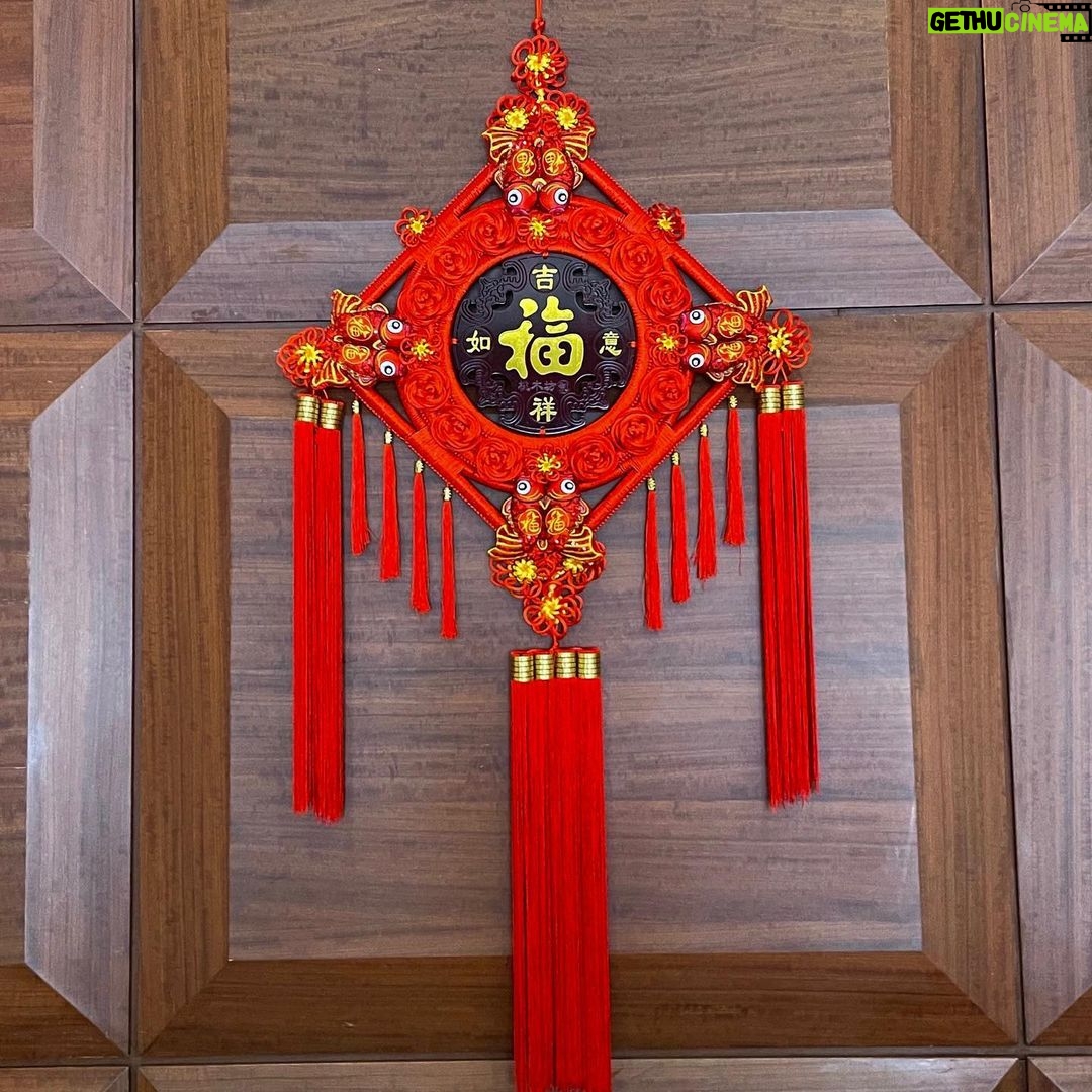 Anna Kay Instagram - 新年快樂!年初四迎財神🧧🙏🏻🧧🧨 #虎年 #生龍活虎 #如虎添億 #如虎添翼 #虎膽龍威 #虎虎生威 #虎年大吉 #新年快樂 #恭喜發財 #吉祥如意 #身體健康 #財源廣進 #要乜有乜 #🍊
