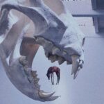 Anna Kay Instagram - 🌹🥀…… #thelastjugement #mauriziocattelan