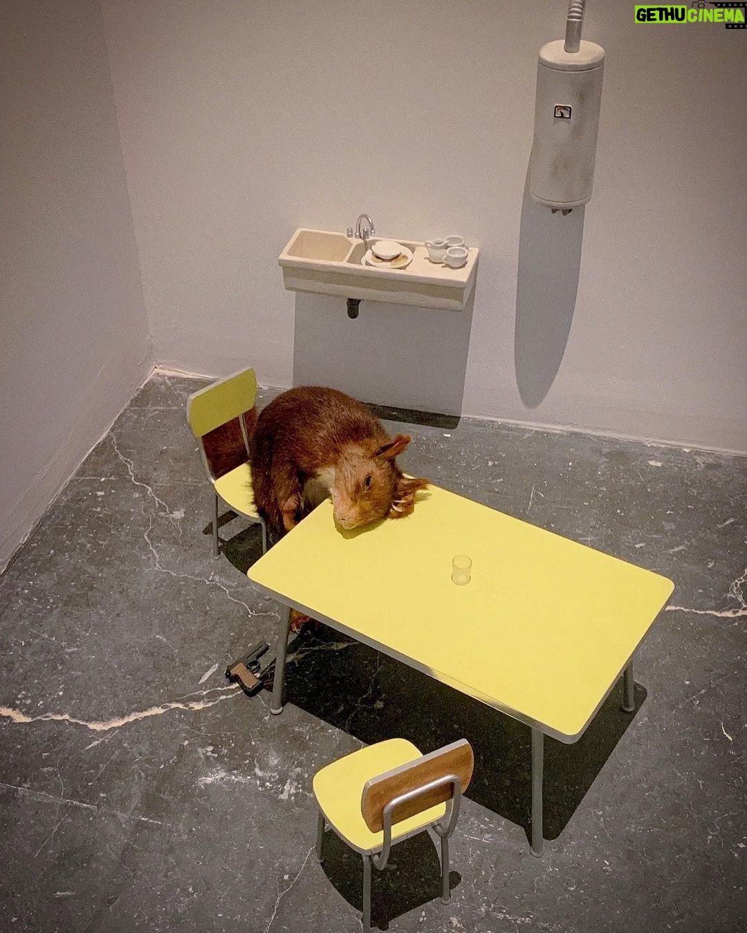 Anna Kay Instagram - 🌹🥀…… #thelastjugement #mauriziocattelan