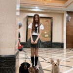 Anna Kay Instagram - Haha June 1st🍬🍭🧁🍩🍼 #june #childrensday #cute #cutedogs