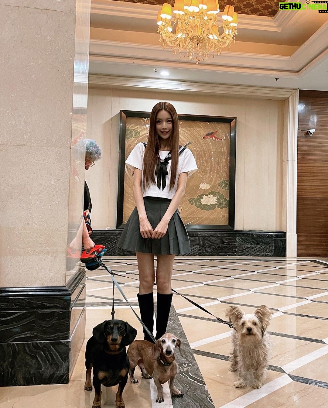 Anna Kay Instagram - Haha June 1st🍬🍭🧁🍩🍼 #june #childrensday #cute #cutedogs