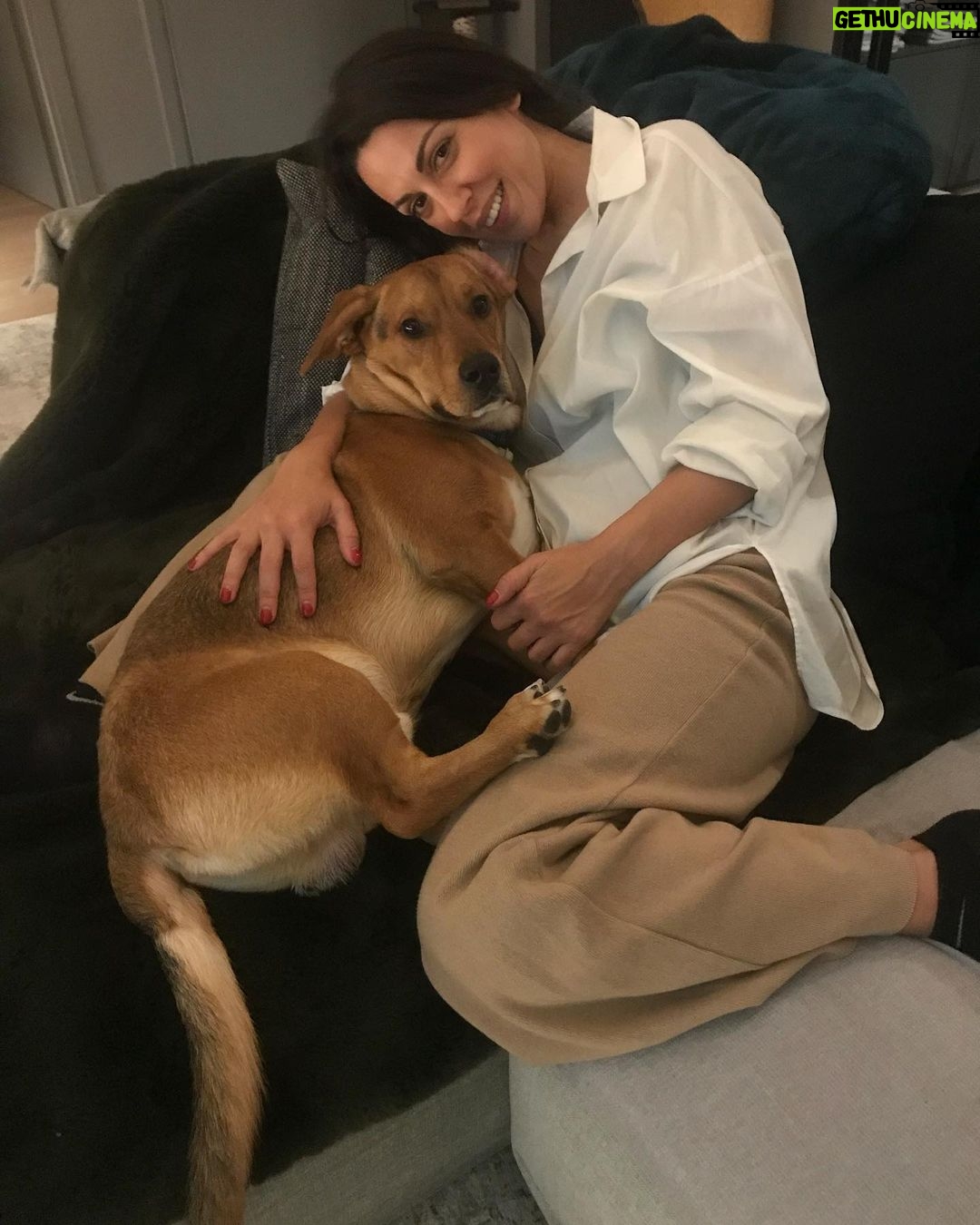 Anna Menenakou Instagram - Απέραντη ευγνωμοσύνη στο σύμπαν για αυτές τις στιγμές…Καλό Σαββατοκύριακο σε όλους🙏🙏🙏❤️❤️❤️ #lovemydog #dogslife #mitsaki #lovemyfamily #gratidude #loveuniverse #love #onlylove #onlyloveforanna