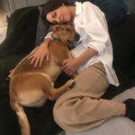 Anna Menenakou Instagram - Απέραντη ευγνωμοσύνη στο σύμπαν για αυτές τις στιγμές…Καλό Σαββατοκύριακο σε όλους🙏🙏🙏❤️❤️❤️ #lovemydog #dogslife #mitsaki #lovemyfamily #gratidude #loveuniverse #love #onlylove #onlyloveforanna