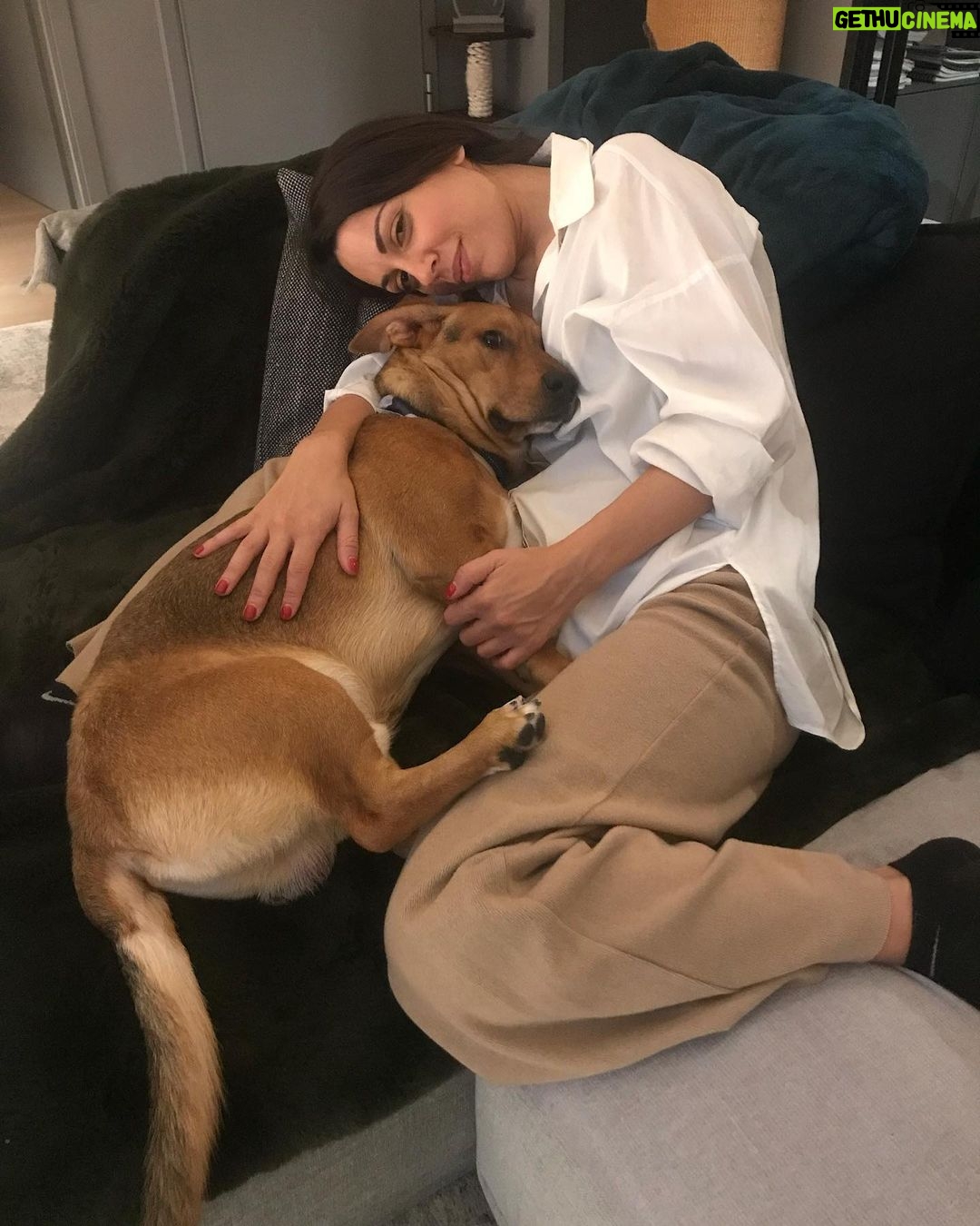 Anna Menenakou Instagram - Απέραντη ευγνωμοσύνη στο σύμπαν για αυτές τις στιγμές…Καλό Σαββατοκύριακο σε όλους🙏🙏🙏❤️❤️❤️ #lovemydog #dogslife #mitsaki #lovemyfamily #gratidude #loveuniverse #love #onlylove #onlyloveforanna