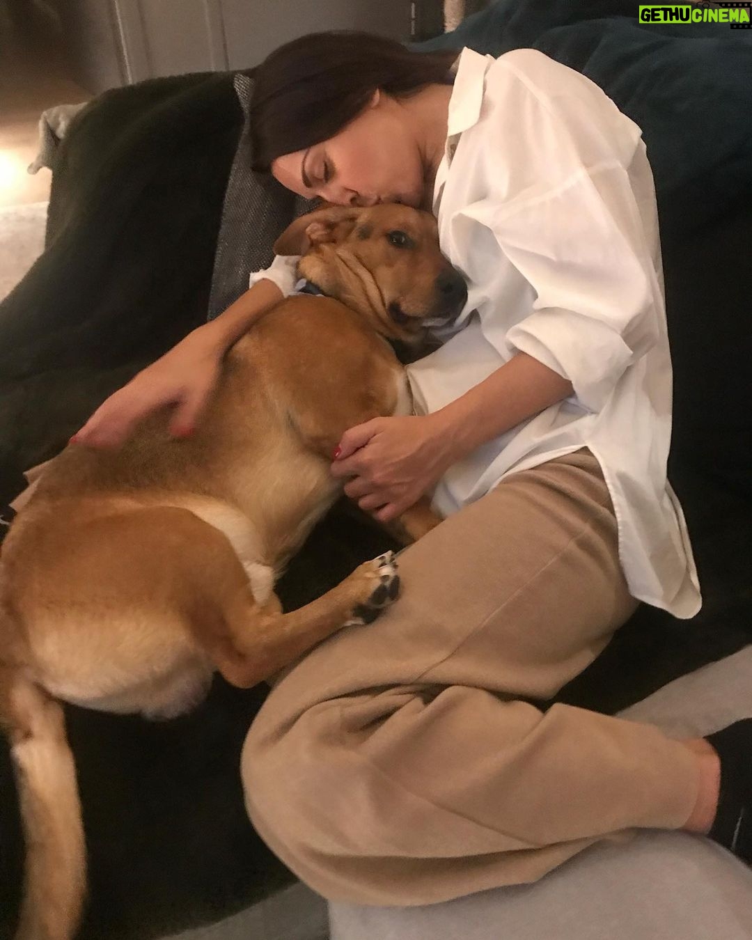 Anna Menenakou Instagram - Απέραντη ευγνωμοσύνη στο σύμπαν για αυτές τις στιγμές…Καλό Σαββατοκύριακο σε όλους🙏🙏🙏❤️❤️❤️ #lovemydog #dogslife #mitsaki #lovemyfamily #gratidude #loveuniverse #love #onlylove #onlyloveforanna
