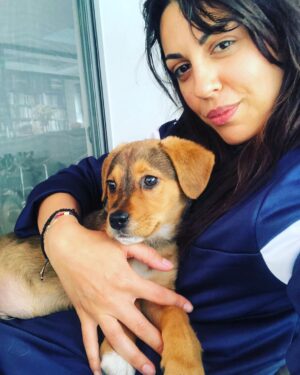 Anna Menenakou Instagram - Μήτσος ... Μητσάκος ... Μητσάρας 🐶
#ourdog #newmemberofthefamily #straydog #babyboy #lovehim #love #onlylove #onlyloveforanna