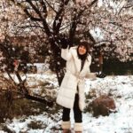 Anna Menenakou Instagram - Τ’ άγριο σκοτεινό παλάτι θα φωτίσω εκτυφλωτικά θα ρίξω χρώματα παντού σε μια γωνιά ο δράκος θα είναι ένα κλωνάρι ανθισμένη αμυγδαλιά γιατί εφέτος στ’ αλήθεια εφοβήθηκα την παγωνιά τη μοναξιά το κρύο κι αυτά τα ελάφια που περνούσαν ύπουλα τη νύχτα κάτω απ’ την ψυχή μου. Ο Άρχοντας- Μίλτος Σαχτούρης #love #onlylove #onlyloveforanna
