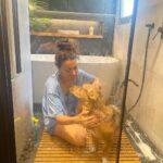 Anna Menenakou Instagram - Κάνουμε μπάνιο να δροσιστούμε…! Το #μητσάκι μας! Το αγόρι μας! Η οικογένεια μας! #weloveyou #mitsaki #familymember #protectanimals #loveanimals #love #onlylove #onlyloveforanna