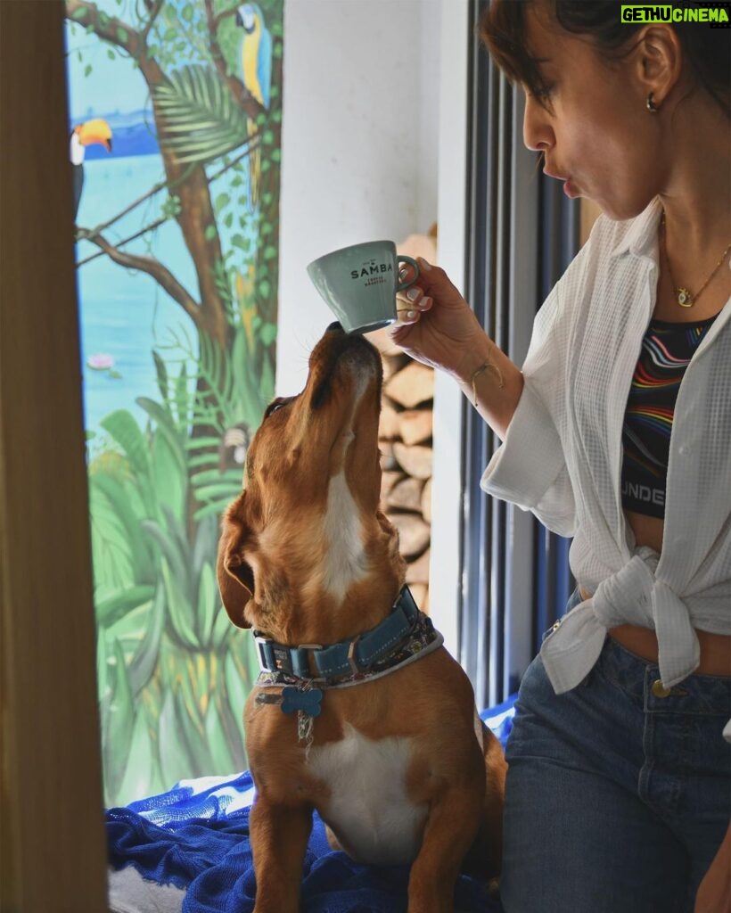Anna Menenakou Instagram - 1. Wake up 2.Hug dog 3.Drink coffee ☕️ 4.Have a good 😊 day 😎😎😎😎😎😎😎😎😎😎😎😎😎😎 Coffee and dogs 🐶 make the world go round.!!! #goodnews #only #haveablessedday #havefun #lovemydog #mitsaki @sambacoffeeroasters #lovemorningcoffee #love #onlylove #onlyloveforanna