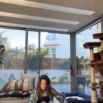 Anna Menenakou Instagram - Restorative Yoga 🙏♥️🧿 Ευγνώμων και Χαρούμενη για όλα!!! ***************** #blessed #thankful #formylife #formyteacher @alexopoulou.athina #yoga #yogalife #satya #love #onlylove #onlyloveforanna