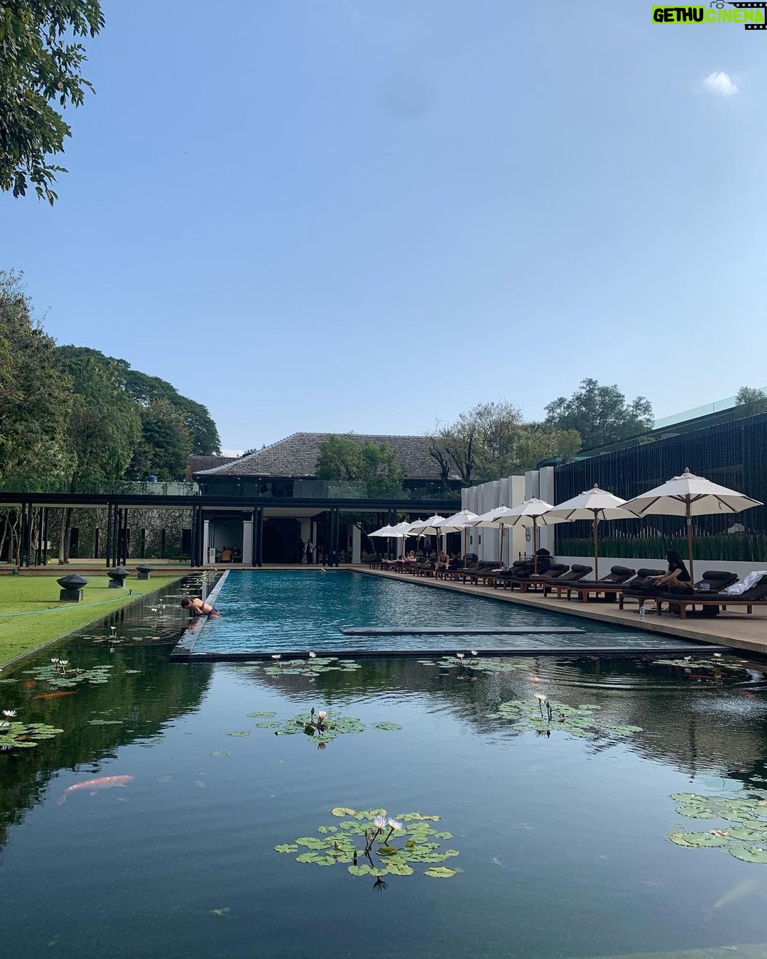 Anna Passey Instagram - A N A N T A R A Chiang Mai 💫 Thank you for the recommendation @natashalyons we have had the most incredible stay at @anantara_chiangmai So pretty and peaceful it was the perfect luxury base for exploring Chaing Mai. Thank you for having us, and for the incredible hospitality; by far the best service and kindness from the staff that we have experienced on our travels. The highlight was definitely the dinner river cruise on the Mae Ping, such a relaxing way to see the city by water. If you are visiting Chiang Mai we cannot recommend this hotel enough ✨