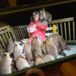 Annalisa Cochrane Instagram – chaotic good New York City, N.Y.