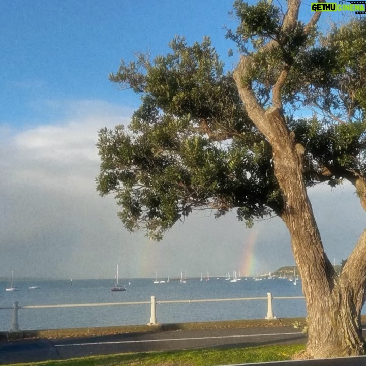 Annalisa Cochrane Instagram - that’s choice bro Auckland, New Zealand