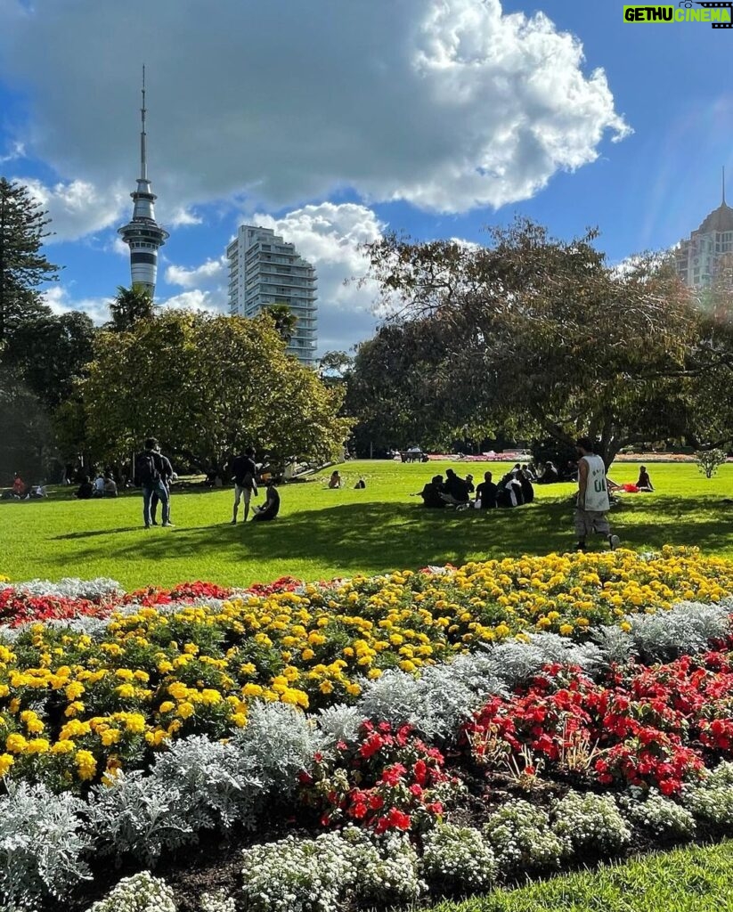 Annalisa Cochrane Instagram - More photos lacking proper cohesion 🙃 Auckland, New Zealand