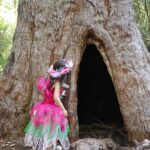 Anne Curtis Instagram - Found a Bush Fairy amongst the Valley of the Giants 🧚‍♀️🧚 @erwan Valley of the Giants Tree Top Walk
