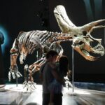 Anne Curtis Instagram - Horridus. One of the most complete Triceratops fossils ever found. So cool. 🦕 🦖 Melbourne Museum