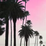 Anne Curtis Instagram - instant ost with this view. 🌴 Los Angeles, California