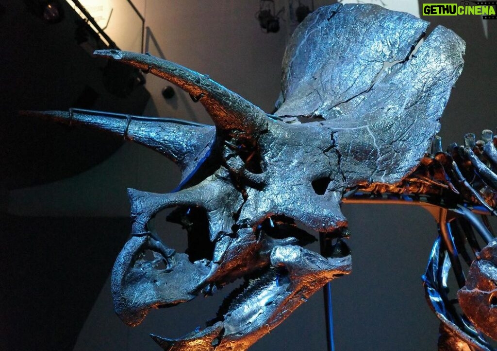 Anne Curtis Instagram - Horridus. One of the most complete Triceratops fossils ever found. So cool. 🦕 🦖 Melbourne Museum