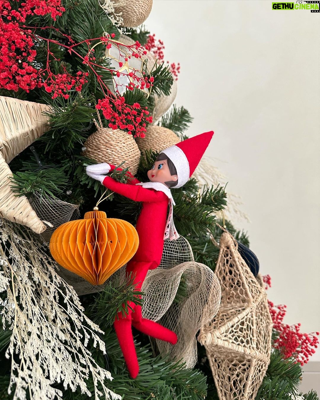 Anne Curtis Instagram - A new yearly tradition ๐ canโt wait for the stage when the elf becomes cheeky ๐ง #elfontheshelf