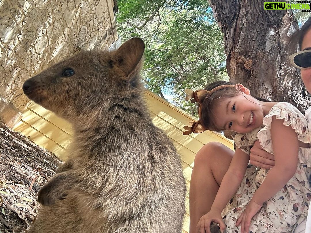Anne Curtis Instagram - G’day Mr. Quokka. We’ve come a long long way just to see you 🇦🇺🇵🇭 Rottnest Island, Western Australia