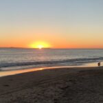 Anne Dudek Instagram - Green flash?