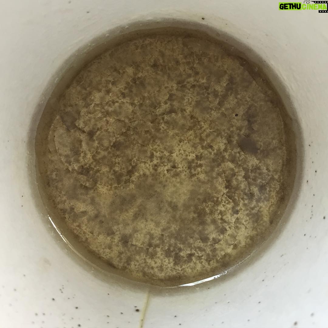 Anne Dudek Instagram - Petri dish? Modern art? No! The end of my #bonebroth I found in Santa Fe! Santa Fe, New Mexico
