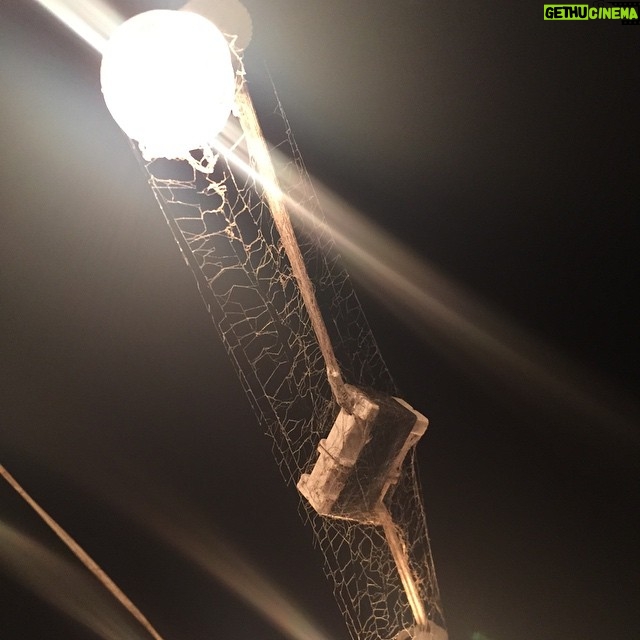 Anne Dudek Instagram - Living on the edge: spiderweb on my outdoor lights, spider lives in an electrical socket. #livingontheedge
