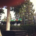 Anne Dudek Instagram - Akiva's on that