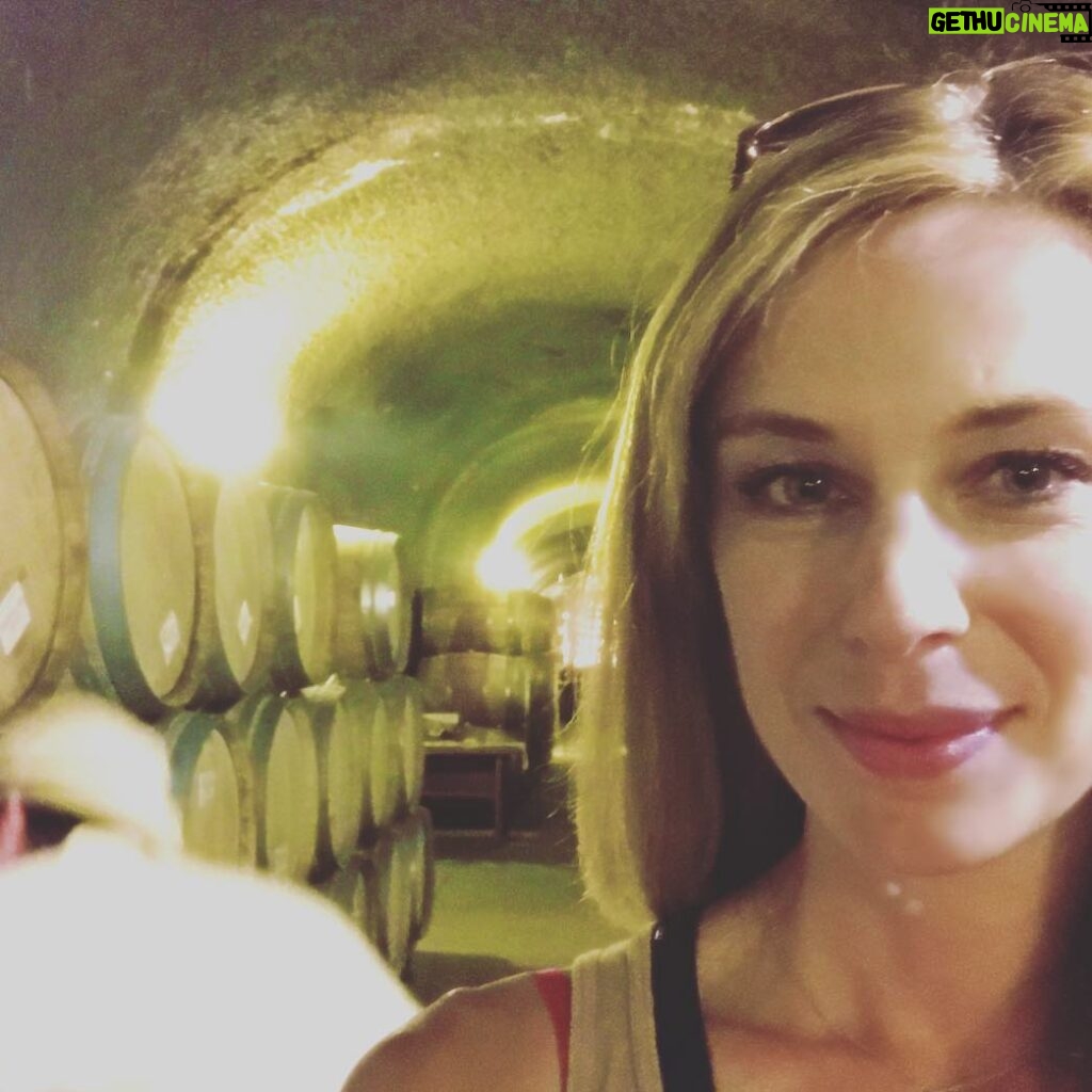 Anne Dudek Instagram - All the wine!.... Paso Robles, California
