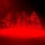 Anne Hathaway Instagram - ✨Thank you @moncler for inviting me to your dazzling, magical, inspiring, immersive show held within a Swiss forest (!) Bravo to the entire team on achieving this extraordinary feat, and an extra thank you for your kindness and generosity✨ #MonclerGrenoble