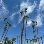 Anne Kukkohovi Instagram - Quick & spontaneous 24h in Palm Springs. Only 42c 🔥☀️🔥 Palm Springs, California