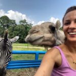 Annet Mahendru Instagram - Was so excited about my first tractor safari, I thought the camel was a baby giraffe, the entire time. I blame the zebra. Lousiana