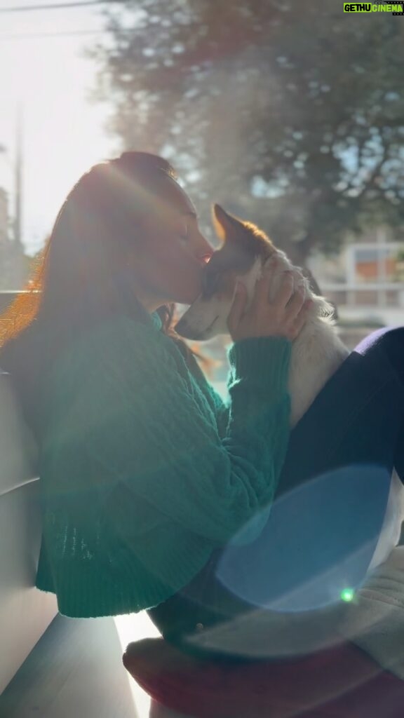 António Camelier Instagram - O meu filme favorito ❤🐶 #doglover #love #doglife #dog