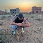 Antoine Goretti Instagram - J’ai toujours pensé être humain mais je préfère être un animal, ils ont plus de coeur que nous. Marrakech, Morocco