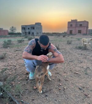 Antoine Goretti Instagram - J’ai toujours pensé être humain mais je préfère être un animal, ils ont plus de coeur que nous.