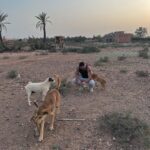 Antoine Goretti Instagram - J’ai toujours pensé être humain mais je préfère être un animal, ils ont plus de coeur que nous. Marrakech, Morocco