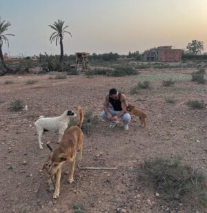 Antoine Goretti Instagram - J’ai toujours pensé être humain mais je préfère être un animal, ils ont plus de coeur que nous.
