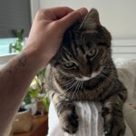 Antoine Goretti Instagram - Je ne sais pas ce que j’ai en ce moment mais je me pose beaucoup de questions, j’aimerais adopter un chat à la @la_spa , un chat que personne ne veut adopter pour lui donner une famille avec de l’amour, même s’il est vieux, même s’il est malade, même s’il a des traumatismes qui demandent du temps à soigner. Malgré tout, à chaque fois que je me dis que c’est décidé, je pense à mon chat Justin dont ma maman s’occupe depuis que je suis parti de la maison et j’ai un sentiment de culpabilité qui me noue la gorge, comme si inconsciemment je le remplaçais. Mon chat je l’aime et je ne le vois pas assez et plus il vieillit plus je redoute de le perdre et de ne pas avoir assez profité de lui. C’est un sentiment désagréable entre l’envie de donner du bonheur dans la vie d’un petit être qui en a manqué terriblement et celui de penser à son chat de 16ans (encore en forme) qui partira un jour et qui fera un trou dans mon cœur, comme tous les chats qui m’ont donné la chance de les avoir dans ma vie. Je pense aussi à moi, si je prends ce chat et que je lui donne de l’amour, comment je vais réussir à gérer mes émotions s’il part trop vite ou trop brusquement, bref j’ai 1000 questions en tête. Depuis tout petit, j’ai toujours été un amoureux des chats qui m’ont aidé à traverser la vie de manière plus douce. C’est fou comme des années plus tard je repense à Tigrou, Kimi et mon Justin et tous les souvenirs sont limpides. La douleur de les avoir perdu est d’ailleurs tout aussi présente, comme un membre de la famille à qui on repense avec bonheur et tristesse. Bref tout ça pour dire, n’abandonnez pas vos animaux, aimez-les, c’est ce qu’ils méritent. Si je fais ce post c’est pour avoir des témoignages de personnes dans ma situation afin de comprendre comment la gérer, merci 🤍🐈‍⬛