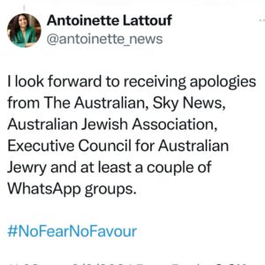 Antoinette Lattouf Instagram - I will always stand for truth.
And against hate.

(I also stand against overplucked eyebrows, but that’s a public interest investigation for another day) 

#NoFearNoFavour
