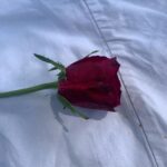Antonio Dikele Distefano Instagram - Mi lasciò la rosa per un euro. Ti guardò e disse “siete la coppia più bella del parco “. Il tipo delle rose era riuscito a farti sorridere. Io ti guardavo e riuscivo solo a pensare “Non smettere mai di amare la vita, ricordati di sorridere e di non aver paura dei cambiamenti, delle dimenticanze, perché qualunque cosa accadrà, qualunque cosa sarai tu sarai con te. Chi ti ha lasciato ha perso, perdendoti. Ha perso qualcuno che l'aspettava, qualcuno che per amore ha sempre dato il meglio di sé senza che glielo chiedessero o l'accettassero. Non smettere mai di amare la vita, anche se non sei mai riuscita ad essere bambina, ad essere forte come volevi, ad essere bella come volevano. Non esistono scuse, chi ci ama ci resta vicino, perché quando si ama anche le piccole distanze sembrano enormi. Il punto di partenza diventa la geografia dei luoghi. Non smettere mai di amare la vita perché alla fine se una persona non ha saputo stare al nostro fianco quando ne ha avuto l'opportunità, mai lo meriterà”. Eravamo i più belli del parco.