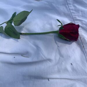 Antonio Dikele Distefano Instagram - Mi lasciò la rosa per un euro. Ti guardò e disse “siete la coppia più bella del parco “. Il tipo delle rose era riuscito a farti sorridere. Io ti guardavo e riuscivo solo a pensare “Non smettere mai di amare la vita, ricordati di sorridere e di non aver paura dei cambiamenti, delle dimenticanze, perché qualunque cosa accadrà, qualunque cosa sarai tu sarai con te. Chi ti ha lasciato ha perso, perdendoti. Ha perso qualcuno che l'aspettava, qualcuno che per amore ha sempre dato il meglio di sé senza che glielo chiedessero o l'accettassero. 
Non smettere mai di amare la vita, anche se non sei mai riuscita ad essere bambina, ad essere forte come volevi, ad essere bella come volevano. Non esistono scuse, chi ci ama ci resta vicino, perché quando si ama anche le piccole distanze sembrano enormi. Il punto di partenza diventa la geografia dei luoghi. Non smettere mai di amare la vita perché alla fine se una persona non ha saputo stare al nostro fianco quando ne ha avuto l'opportunità, mai lo meriterà”. Eravamo i più belli del parco.