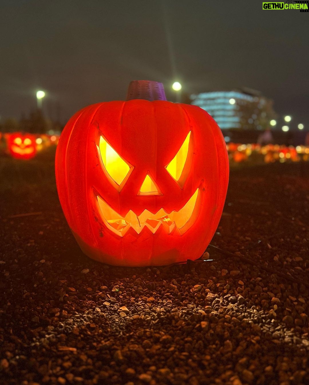 Anu Anand Instagram - Happy Halloween everyone! 👻🎃 . . PC: @anjalianand27 Mississauga, Ontario