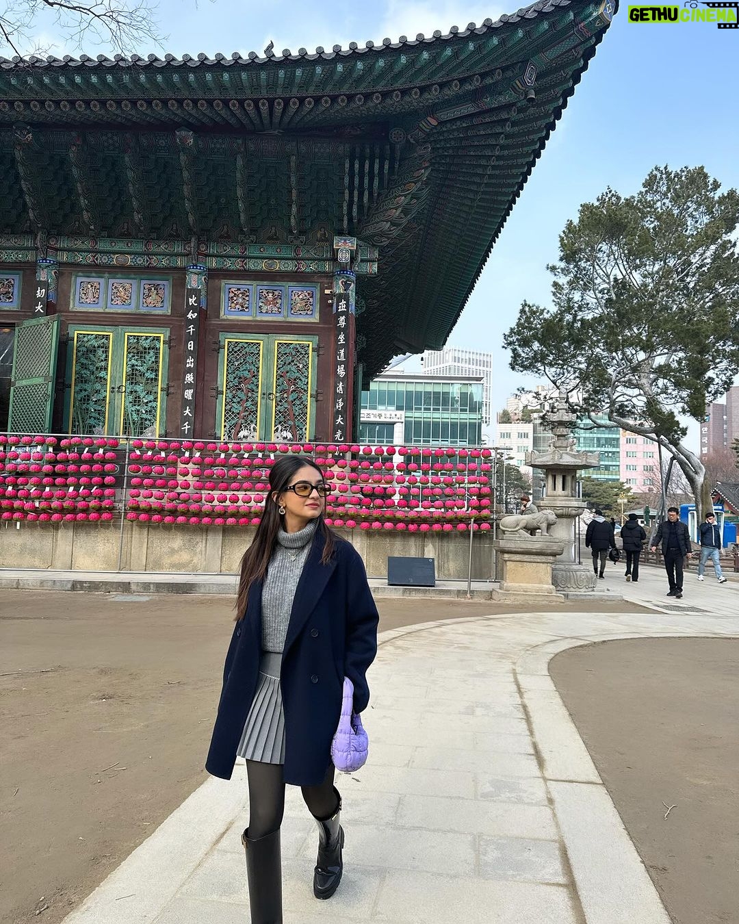 Anushka Sen Instagram - Winter Wonder ❄️⛄️ 조계사 Jogyesa Temple