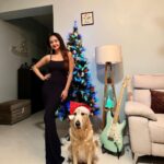 Anushka Sen Instagram - A Merry Christmas from Cindra and Me 🎅🤍🎀🧸🪄🎄