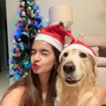 Anushka Sen Instagram - A Merry Christmas from Cindra and Me 🎅🤍🎀🧸🪄🎄