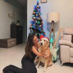 Anushka Sen Instagram - A Merry Christmas from Cindra and Me 🎅🤍🎀🧸🪄🎄