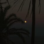 Arón Piper Instagram – Onarev 🌝🌊🌴